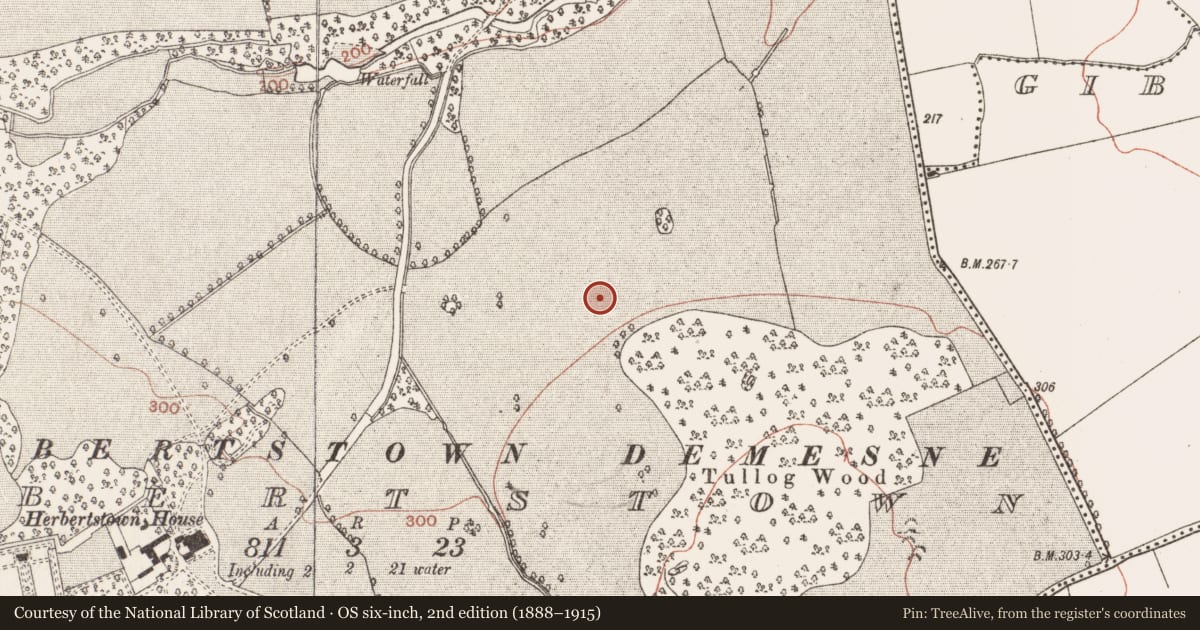 Ordnance Survey six-inch map, 2nd edition (1888–1915) covering the location of Enclosure, Herbertstown, County Meath, with a pin at the register's coordinates