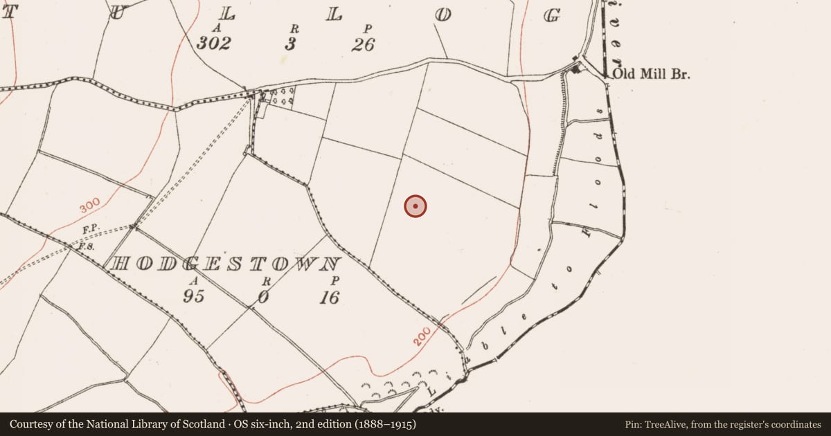 Ordnance Survey six-inch map, 2nd edition (1888–1915) covering the location of Ring-ditch, Tullog, County Meath, with a pin at the register's coordinates