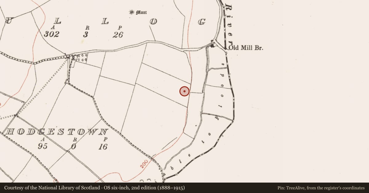 Ordnance Survey six-inch map, 2nd edition (1888–1915) covering the location of Enclosure, Tullog, County Meath, with a pin at the register's coordinates