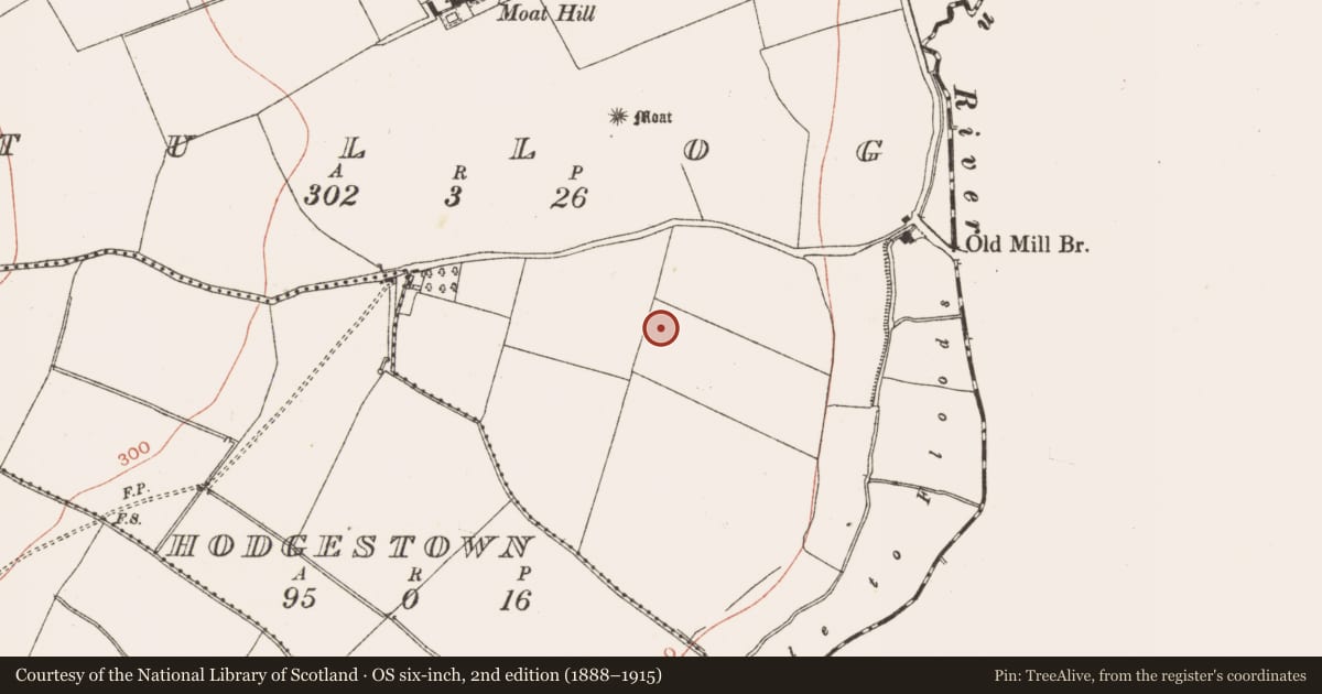 Ordnance Survey six-inch map, 2nd edition (1888–1915) covering the location of Ring-ditch, Tullog, County Meath, with a pin at the register's coordinates