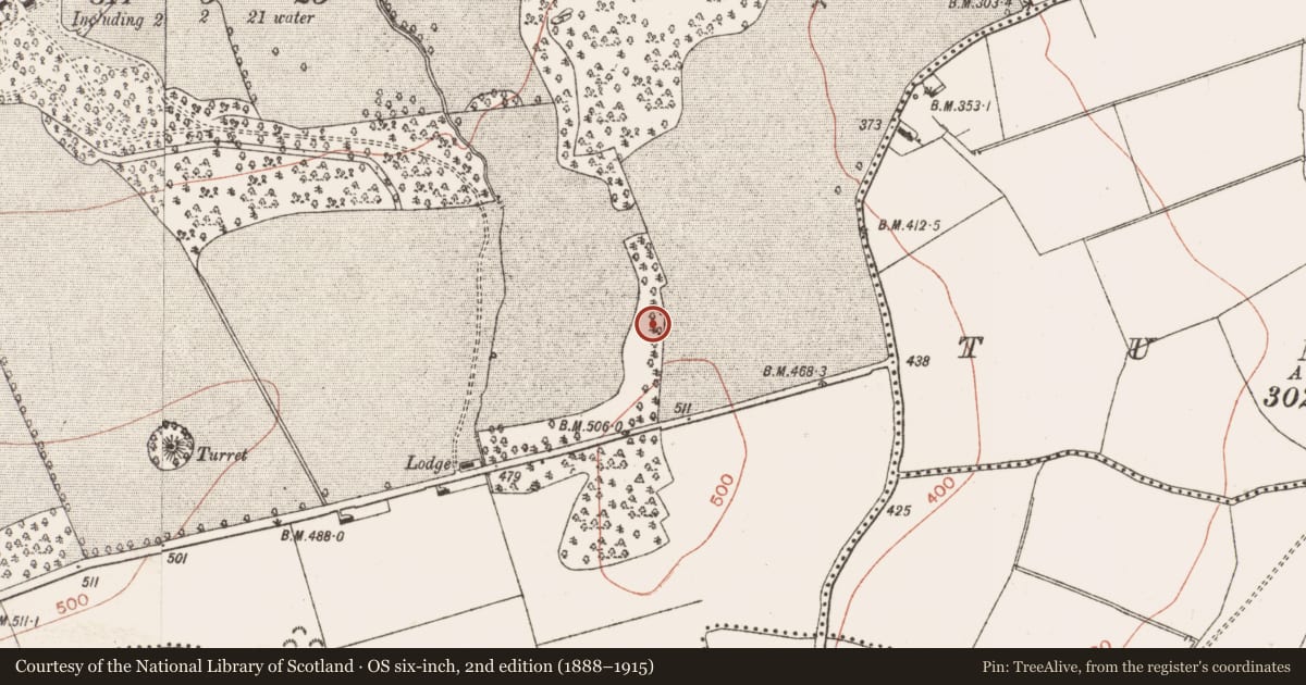 Ordnance Survey six-inch map, 2nd edition (1888–1915) covering the location of Ring-ditch, Herbertstown, County Meath, with a pin at the register's coordinates