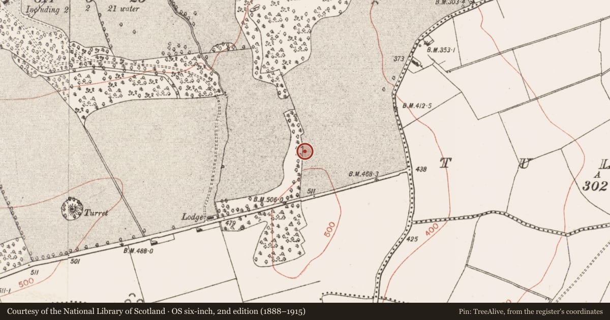 Ordnance Survey six-inch map, 2nd edition (1888–1915) covering the location of Ring-ditch, Herbertstown, County Meath, with a pin at the register's coordinates