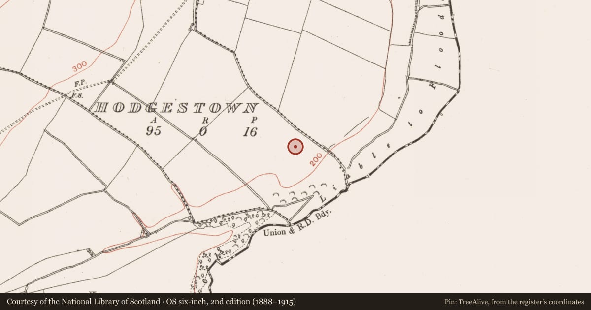 Ordnance Survey six-inch map, 2nd edition (1888–1915) covering the location of Ring-ditch, Hodgestown, County Meath, with a pin at the register's coordinates
