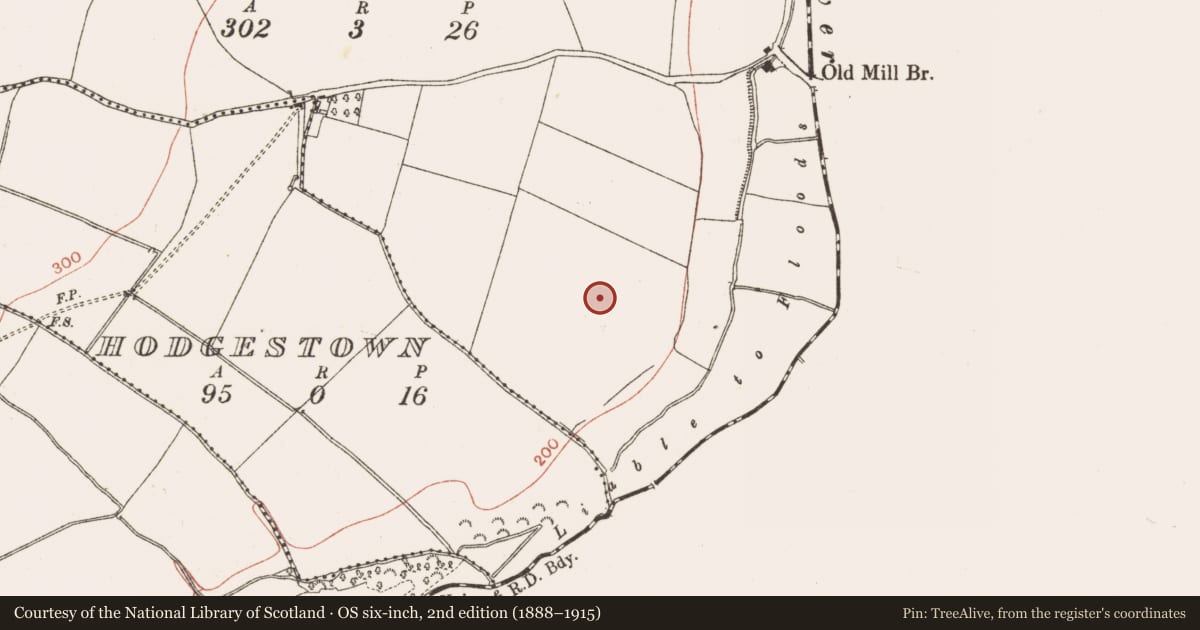 Ordnance Survey six-inch map, 2nd edition (1888–1915) covering the location of Ring-ditch, Tullog, County Meath, with a pin at the register's coordinates