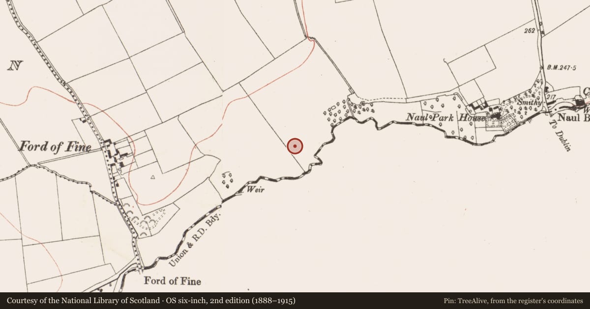 Ordnance Survey six-inch map, 2nd edition (1888–1915) covering the location of Enclosure, Naul, County Meath, with a pin at the register's coordinates