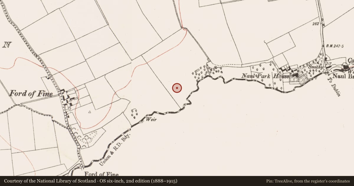 Ordnance Survey six-inch map, 2nd edition (1888–1915) covering the location of Ring-ditch, Naul, County Meath, with a pin at the register's coordinates