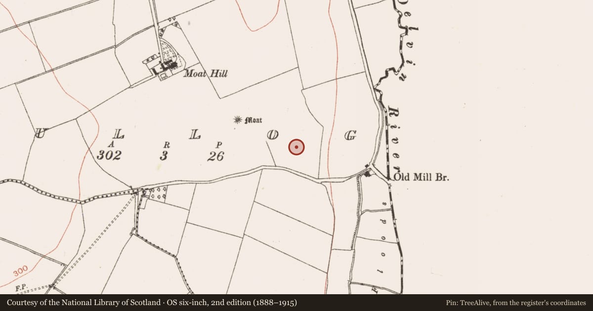 Ordnance Survey six-inch map, 2nd edition (1888–1915) covering the location of Enclosure, Tullog, County Meath, with a pin at the register's coordinates