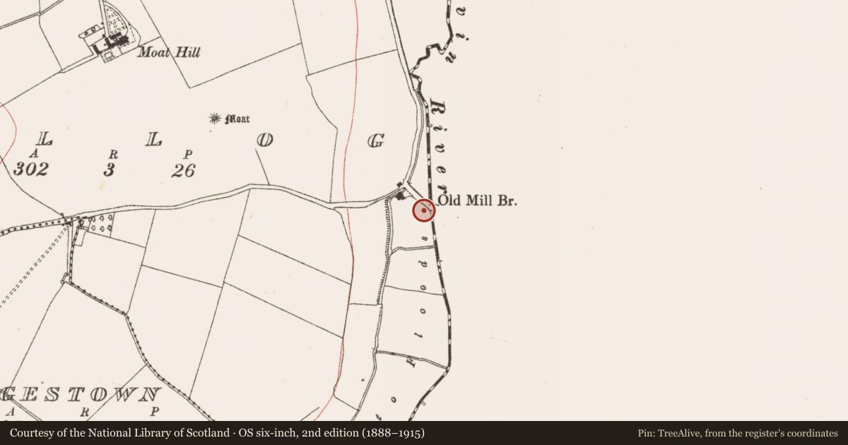 Ordnance Survey six-inch map, 2nd edition (1888–1915) covering the location of Bridge, Tullog, County Meath, with a pin at the register's coordinates