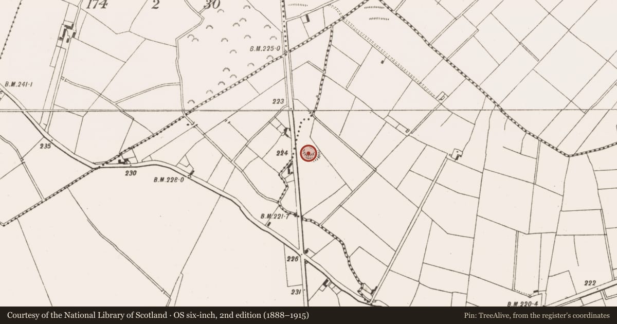 Ordnance Survey six-inch map, 2nd edition (1888–1915) covering the location of Castle - motte and bailey, Moyrath, County Meath, with a pin at the register's coordinates