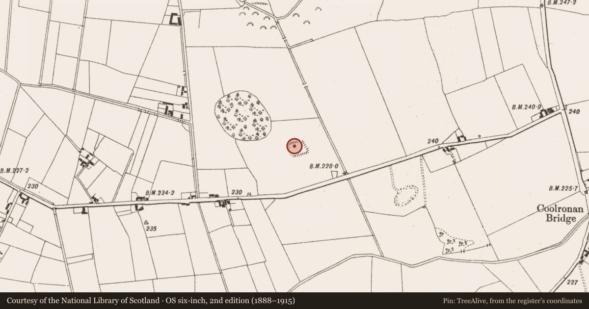 Ordnance Survey six-inch map, 2nd edition (1888–1915) covering the location of Ringfort - rath, Coolronan, County Meath, with a pin at the register's coordinates