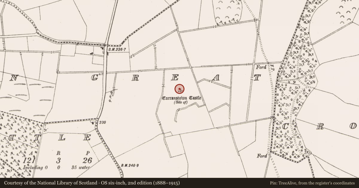 Ordnance Survey six-inch map, 2nd edition (1888–1915) covering the location of Castle - unclassified, Carranstown Great, County Meath, with a pin at the register's coordinates