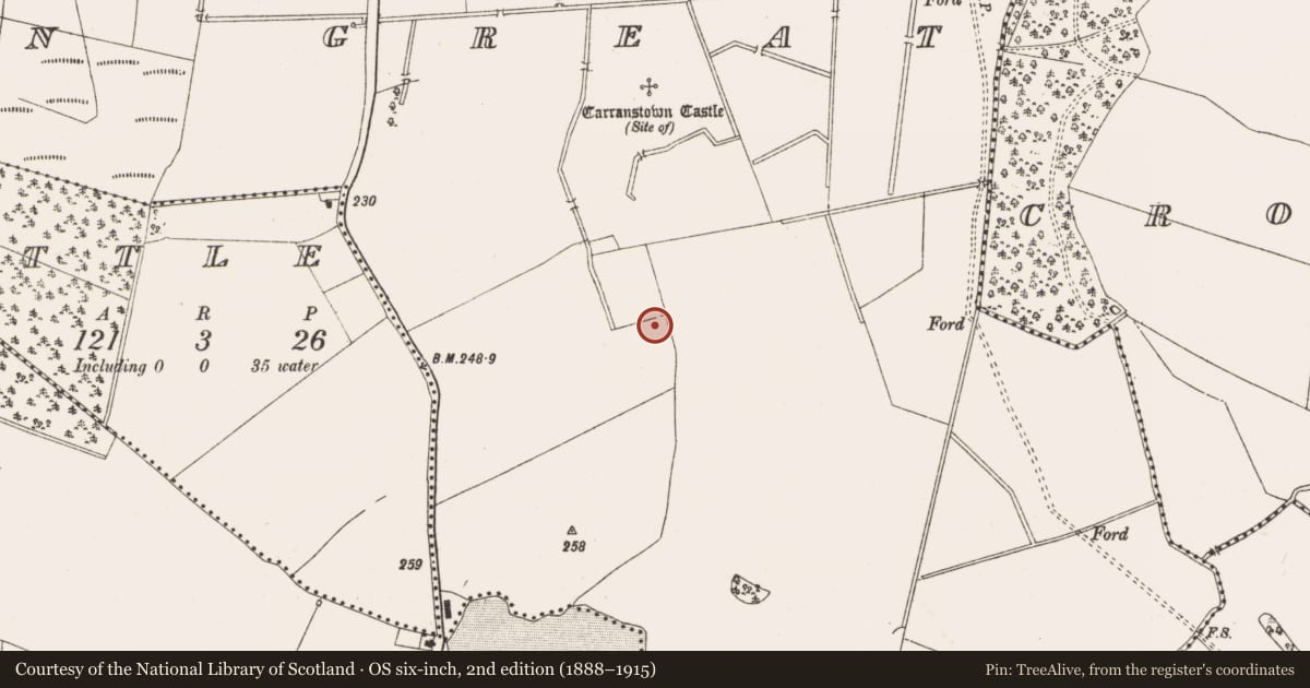 Ordnance Survey six-inch map, 2nd edition (1888–1915) covering the location of Bullaun stone, Carranstown Great, County Meath, with a pin at the register's coordinates