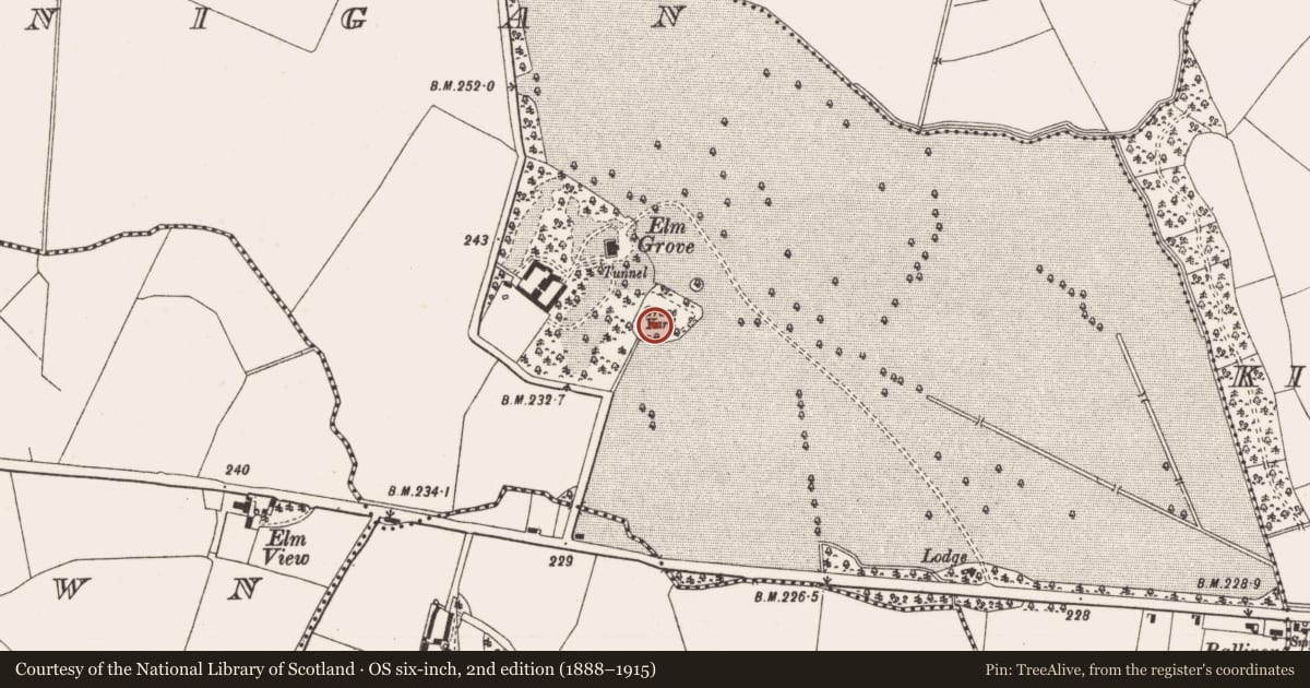 Ordnance Survey six-inch map, 2nd edition (1888–1915) covering the location of Graveyard, Killaconnigan, County Meath, with a pin at the register's coordinates