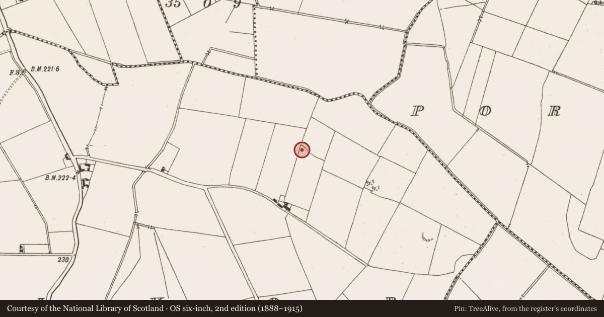 Ordnance Survey six-inch map, 2nd edition (1888–1915) covering the location of Earthwork, Ballivor, County Meath, with a pin at the register's coordinates