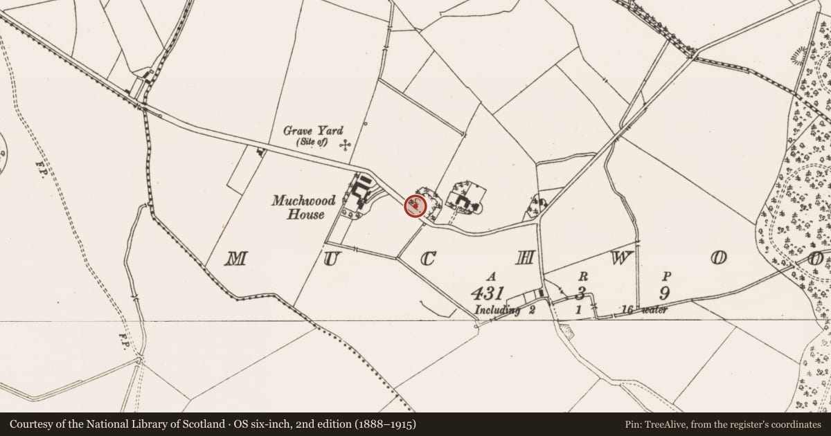 Ordnance Survey six-inch map, 2nd edition (1888–1915) covering the location of Earthwork, Muchwood, County Meath, with a pin at the register's coordinates