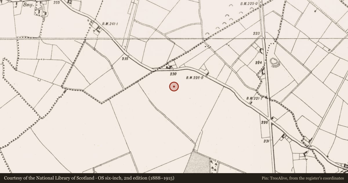 Ordnance Survey six-inch map, 2nd edition (1888–1915) covering the location of Ringfort - rath, Rathcormick, County Meath, with a pin at the register's coordinates