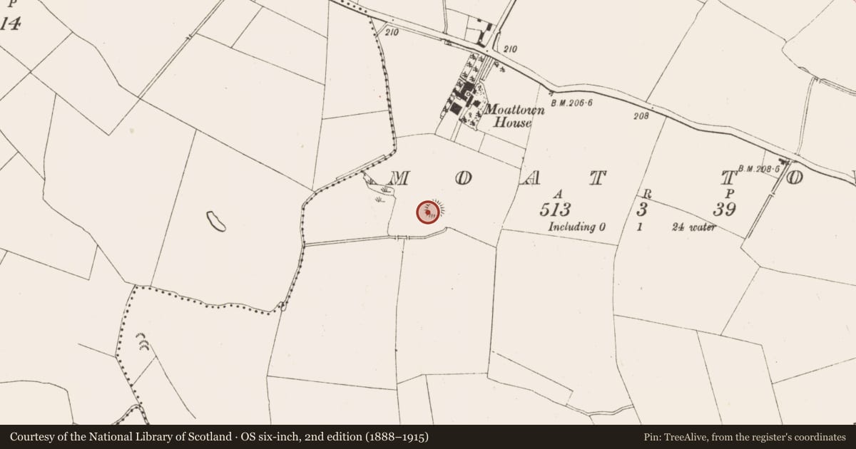 Ordnance Survey six-inch map, 2nd edition (1888–1915) covering the location of Castle - motte, Moat Town, County Meath, with a pin at the register's coordinates