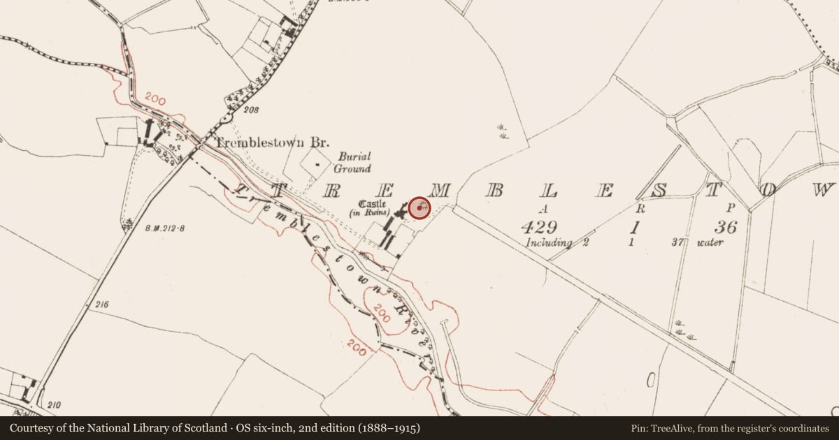 Ordnance Survey six-inch map, 2nd edition (1888–1915) covering the location of Castle - motte, Tremblestown, County Meath, with a pin at the register's coordinates