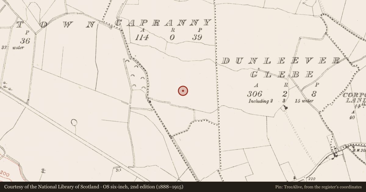 Ordnance Survey six-inch map, 2nd edition (1888–1915) covering the location of Ringfort - rath, Capranny, County Meath, with a pin at the register's coordinates