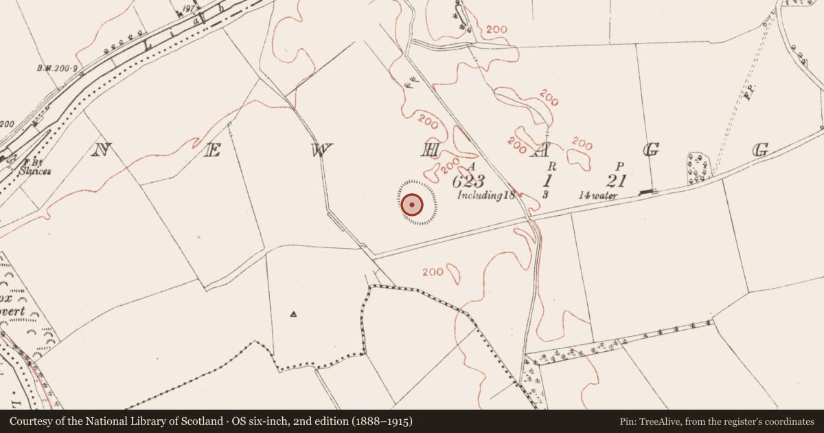 Ordnance Survey six-inch map, 2nd edition (1888–1915) covering the location of Enclosure - large enclosure, Newhaggard (Moyfenrath Lower), County Meath, with a pin at the register's coordinates
