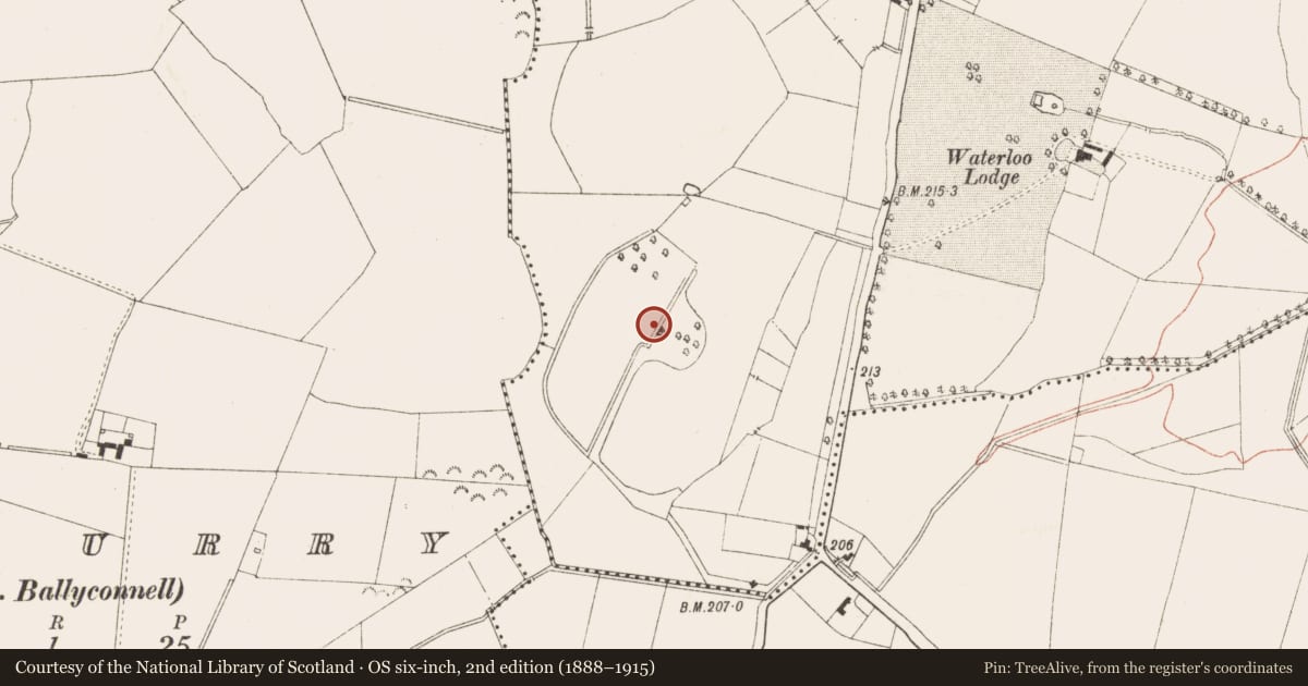 Ordnance Survey six-inch map, 2nd edition (1888–1915) covering the location of Excavation - miscellaneous, Bellewstown, County Meath, with a pin at the register's coordinates