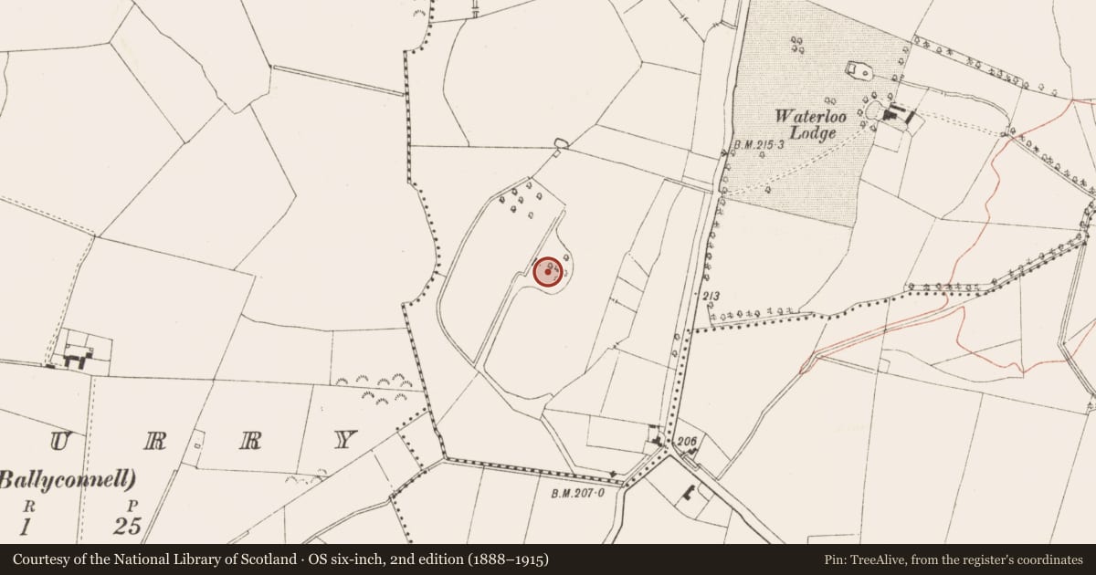 Ordnance Survey six-inch map, 2nd edition (1888–1915) covering the location of House - medieval, Bellewstown, County Meath, with a pin at the register's coordinates