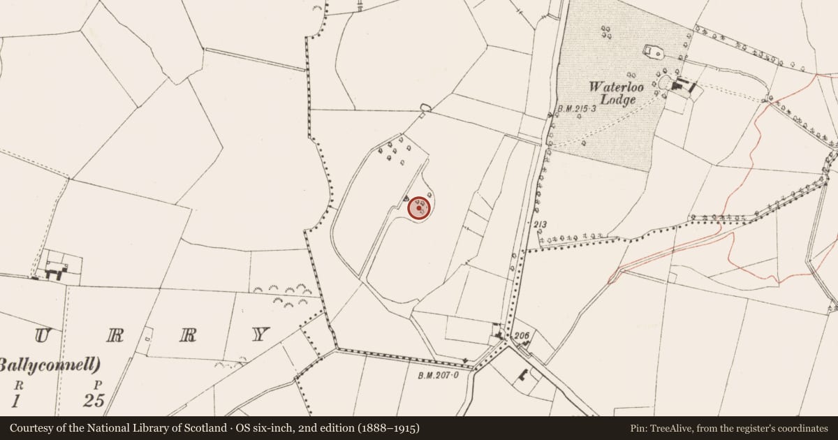 Ordnance Survey six-inch map, 2nd edition (1888–1915) covering the location of Structure, Bellewstown, County Meath, with a pin at the register's coordinates