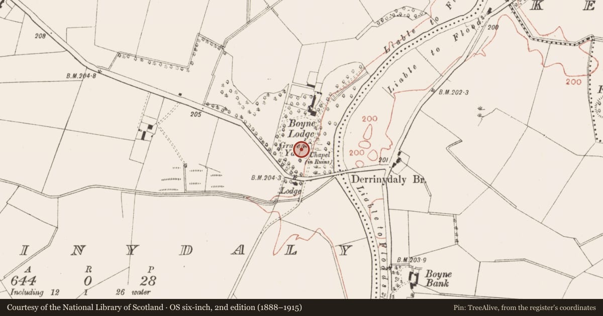 Ordnance Survey six-inch map, 2nd edition (1888–1915) covering the location of Church, Derrinydaly, County Meath, with a pin at the register's coordinates