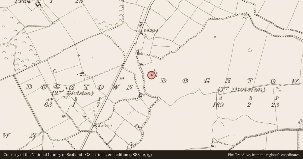 Ordnance Survey six-inch map, 2nd edition (1888–1915) covering the location of Barrow - bowl-barrow, Dogstown (3rd division), County Meath, with a pin at the register's coordinates