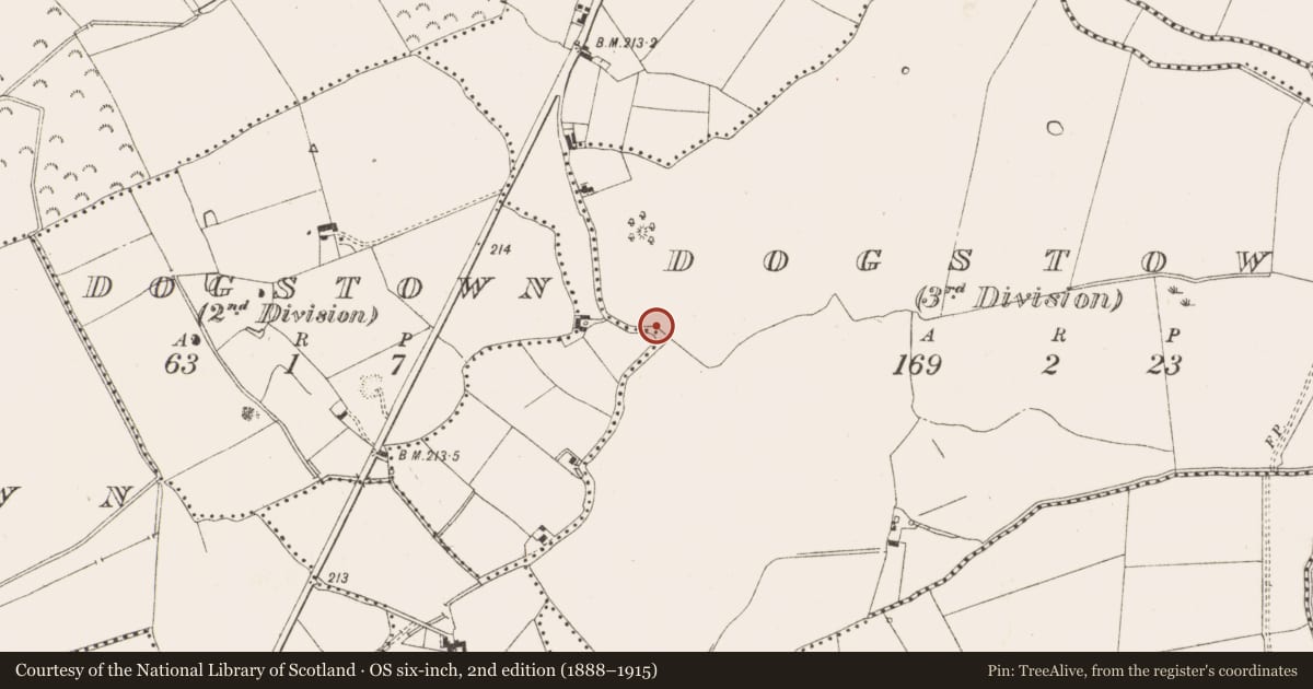 Ordnance Survey six-inch map, 2nd edition (1888–1915) covering the location of Souterrain, Dogstown (3rd division), County Meath, with a pin at the register's coordinates