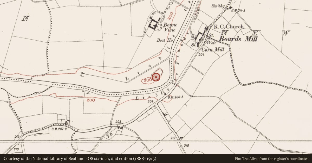 Ordnance Survey six-inch map, 2nd edition (1888–1915) covering the location of House - medieval, Derrinydaly, County Meath, with a pin at the register's coordinates