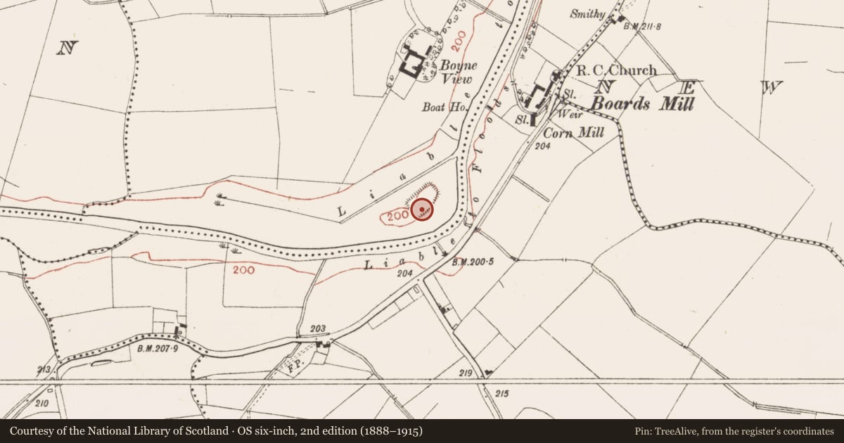 Ordnance Survey six-inch map, 2nd edition (1888–1915) covering the location of House - medieval, Derrinydaly, County Meath, with a pin at the register's coordinates
