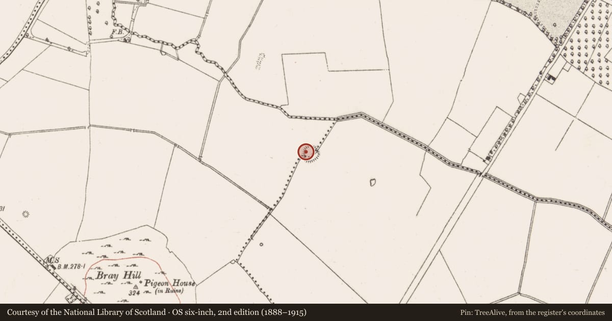 Ordnance Survey six-inch map, 2nd edition (1888–1915) covering the location of Ringfort - rath, Readstown, Stokestown, County Meath, with a pin at the register's coordinates