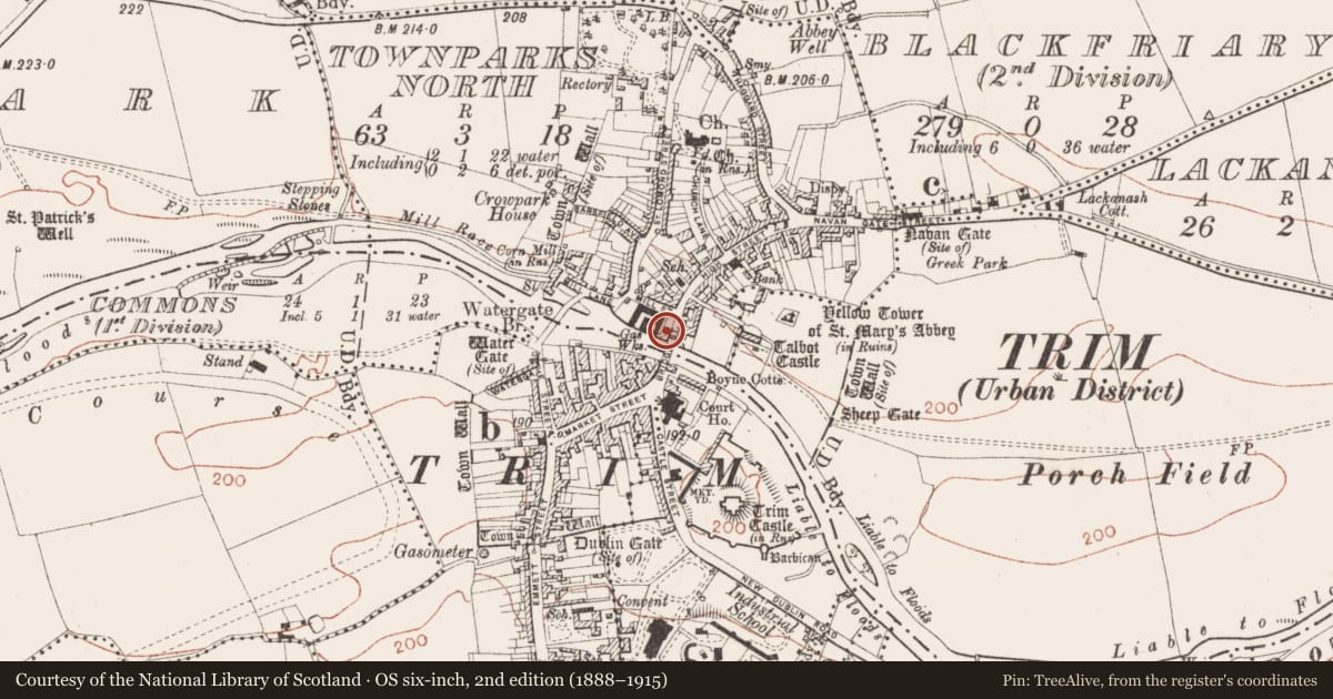 Ordnance Survey six-inch map, 2nd edition (1888–1915) covering the location of Historic town, County Meath, with a pin at the register's coordinates