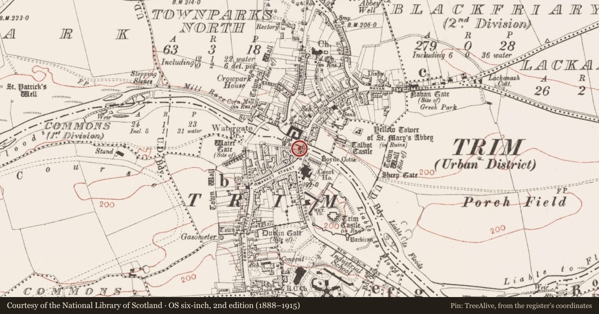 Ordnance Survey six-inch map, 2nd edition (1888–1915) covering the location of Bridge, Townparks North, Townparks South, County Meath, with a pin at the register's coordinates