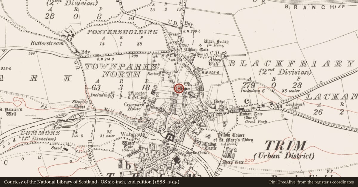 Ordnance Survey six-inch map, 2nd edition (1888–1915) covering the location of Graveslab, Townparks North, County Meath, with a pin at the register's coordinates