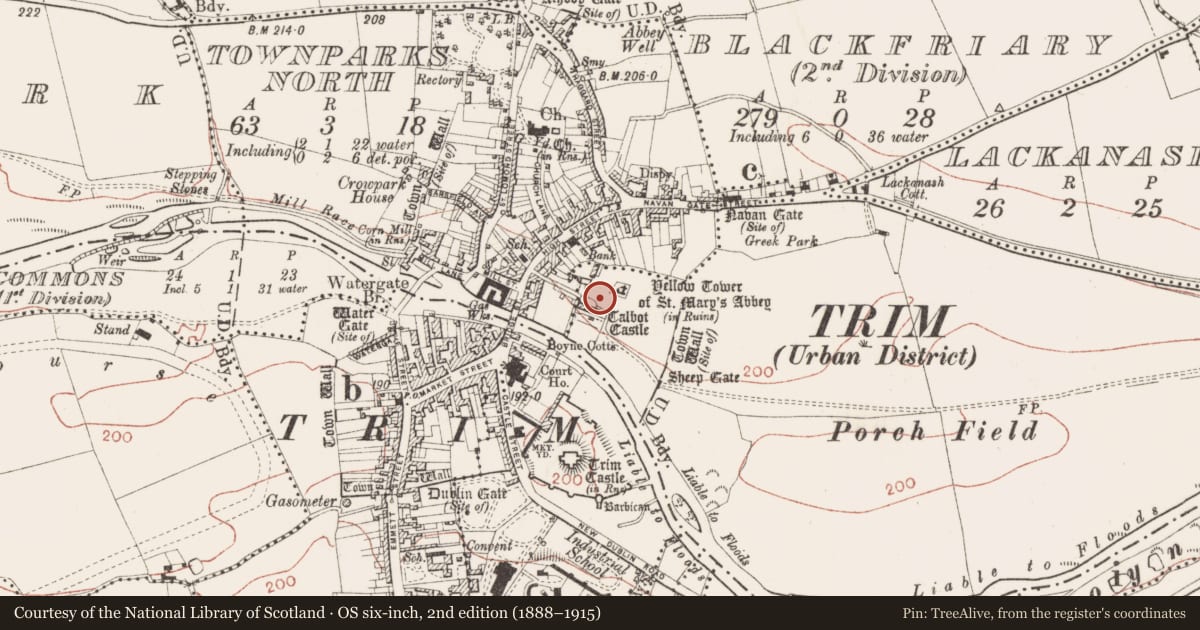 Ordnance Survey six-inch map, 2nd edition (1888–1915) covering the location of Religious house - Augustinian canons, Blackfriary (2nd division), County Meath, with a pin at the register's coordinates