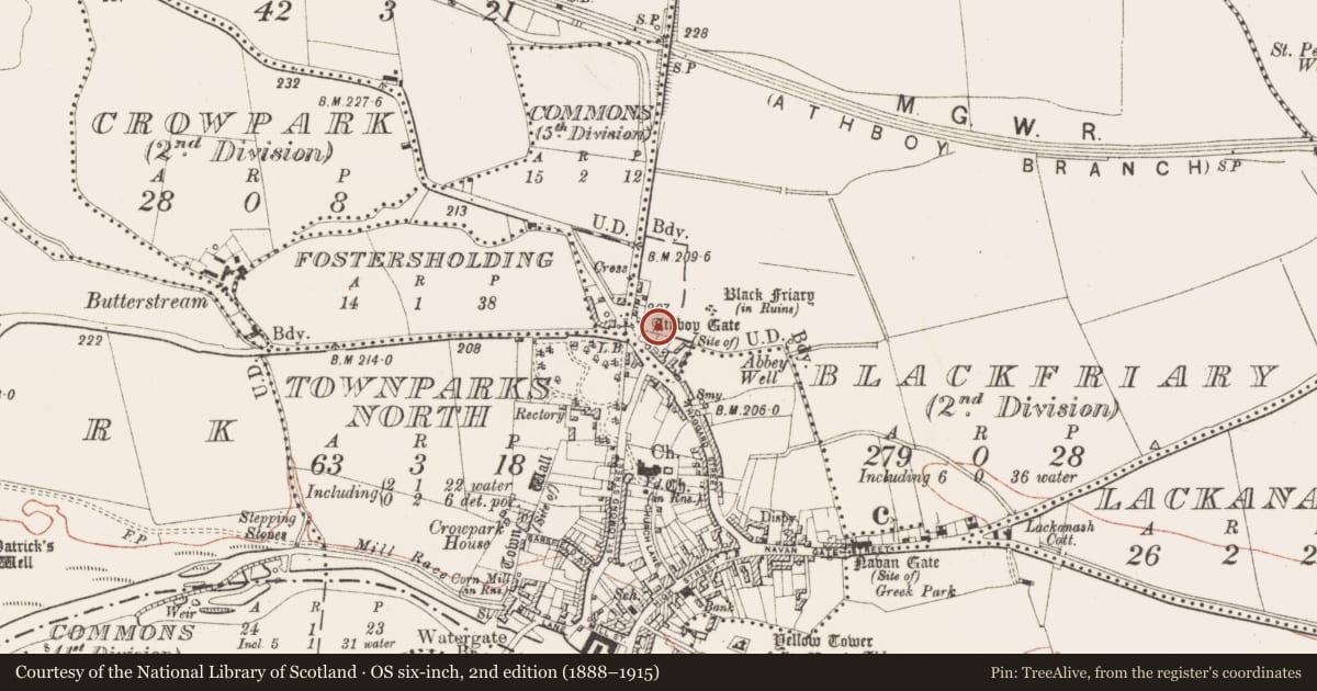 Ordnance Survey six-inch map, 2nd edition (1888–1915) covering the location of Well, Blackfriary (2nd division), County Meath, with a pin at the register's coordinates
