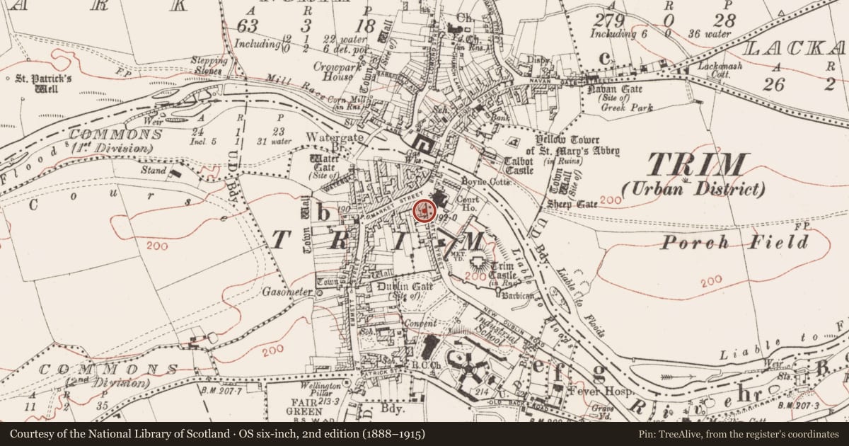 Ordnance Survey six-inch map, 2nd edition (1888–1915) covering the location of Burial, Townparks South, County Meath, with a pin at the register's coordinates