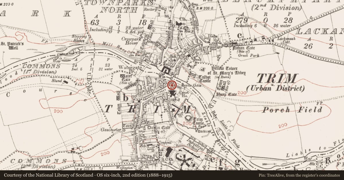 Ordnance Survey six-inch map, 2nd edition (1888–1915) covering the location of Stone head, Manorland (1st division), County Meath, with a pin at the register's coordinates