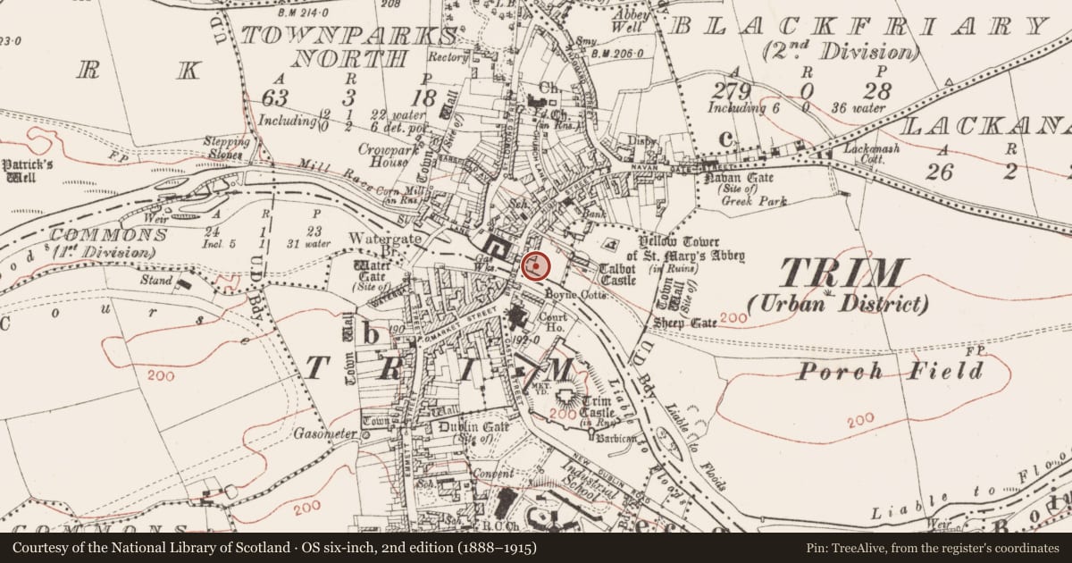 Ordnance Survey six-inch map, 2nd edition (1888–1915) covering the location of House - medieval, Townparks North, County Meath, with a pin at the register's coordinates