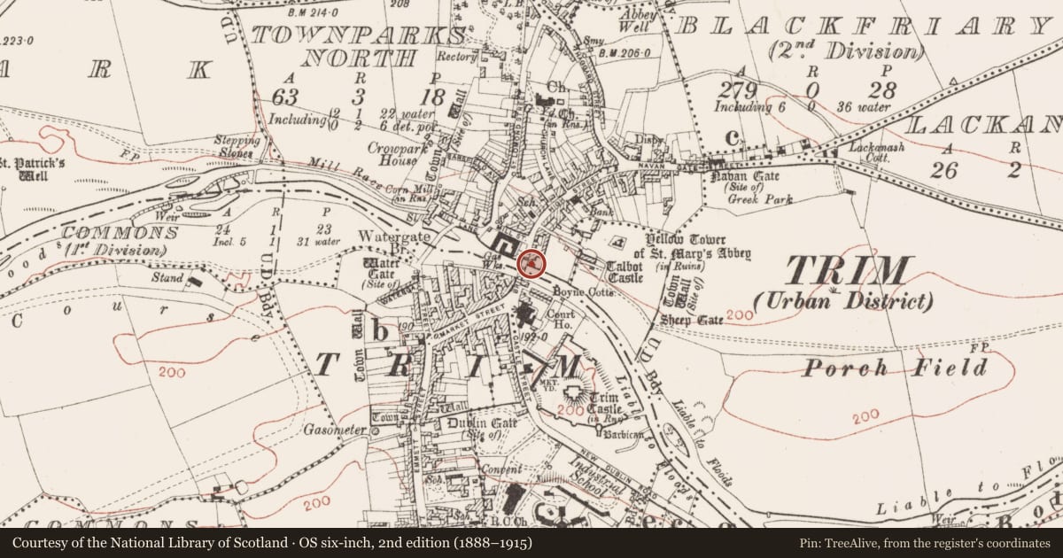 Ordnance Survey six-inch map, 2nd edition (1888–1915) covering the location of House - medieval, Townparks North, County Meath, with a pin at the register's coordinates