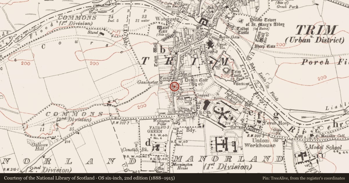 Ordnance Survey six-inch map, 2nd edition (1888–1915) covering the location of House - medieval, Townparks South, County Meath, with a pin at the register's coordinates