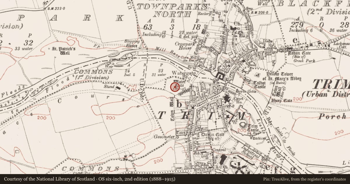Ordnance Survey six-inch map, 2nd edition (1888–1915) covering the location of Field boundary, Townparks South, County Meath, with a pin at the register's coordinates
