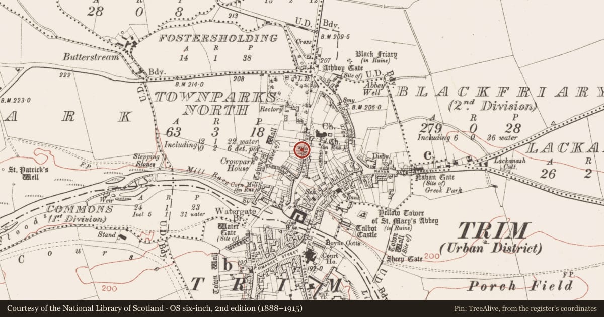 Ordnance Survey six-inch map, 2nd edition (1888–1915) covering the location of Excavation - miscellaneous, Townparks North, County Meath, with a pin at the register's coordinates