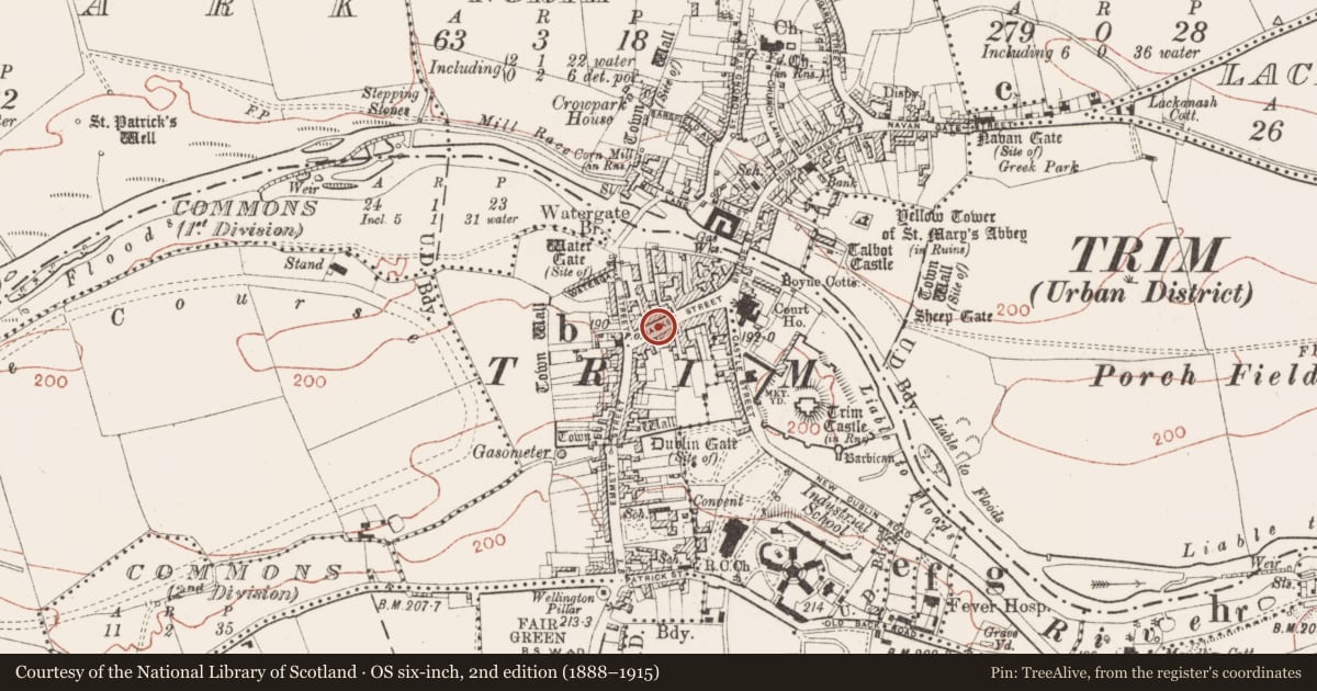 Ordnance Survey six-inch map, 2nd edition (1888–1915) covering the location of Excavation - miscellaneous, Townparks South, County Meath, with a pin at the register's coordinates