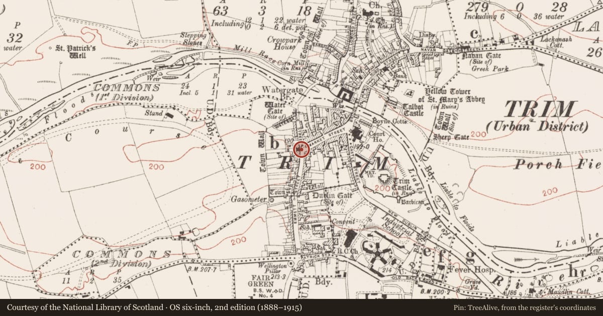 Ordnance Survey six-inch map, 2nd edition (1888–1915) covering the location of Excavation - miscellaneous, Townparks South, County Meath, with a pin at the register's coordinates