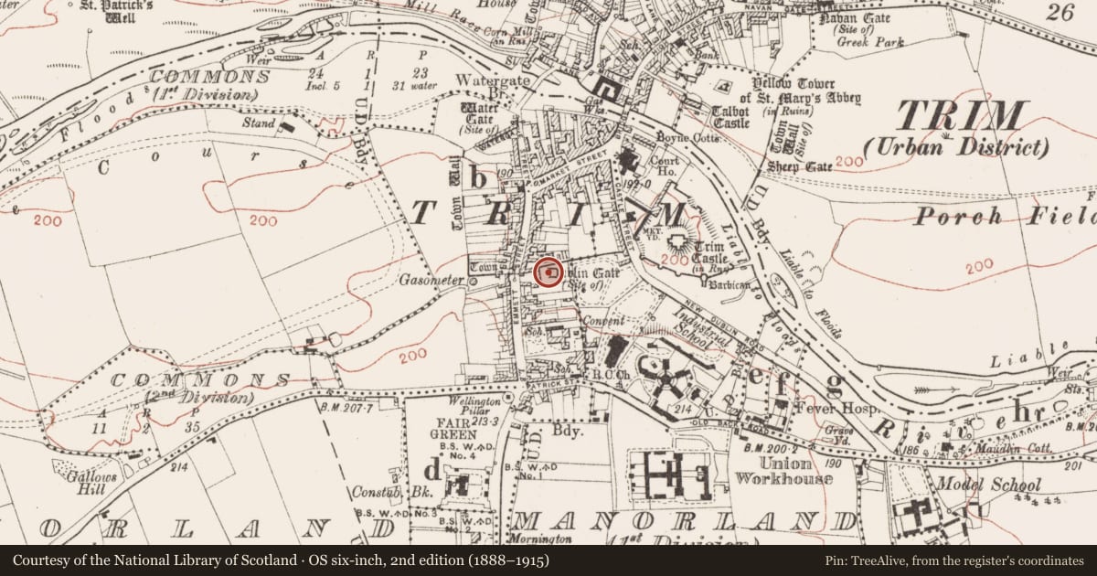 Ordnance Survey six-inch map, 2nd edition (1888–1915) covering the location of Excavation - miscellaneous, Townparks South, County Meath, with a pin at the register's coordinates