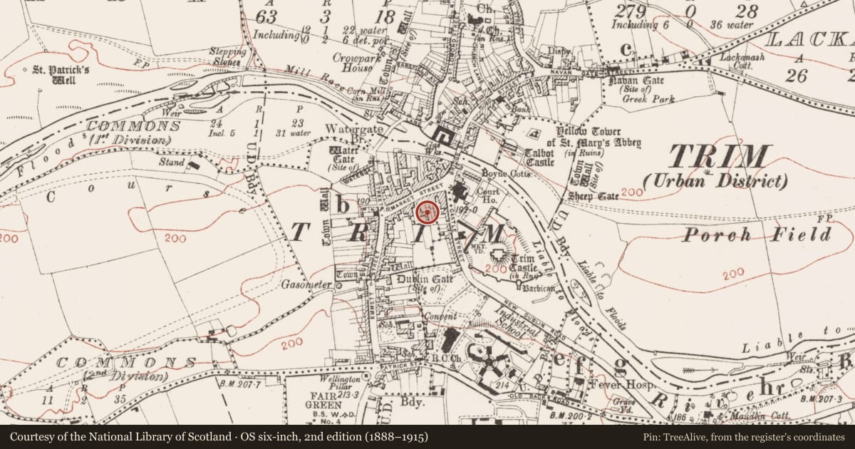 Ordnance Survey six-inch map, 2nd edition (1888–1915) covering the location of House - medieval, Townparks South, County Meath, with a pin at the register's coordinates