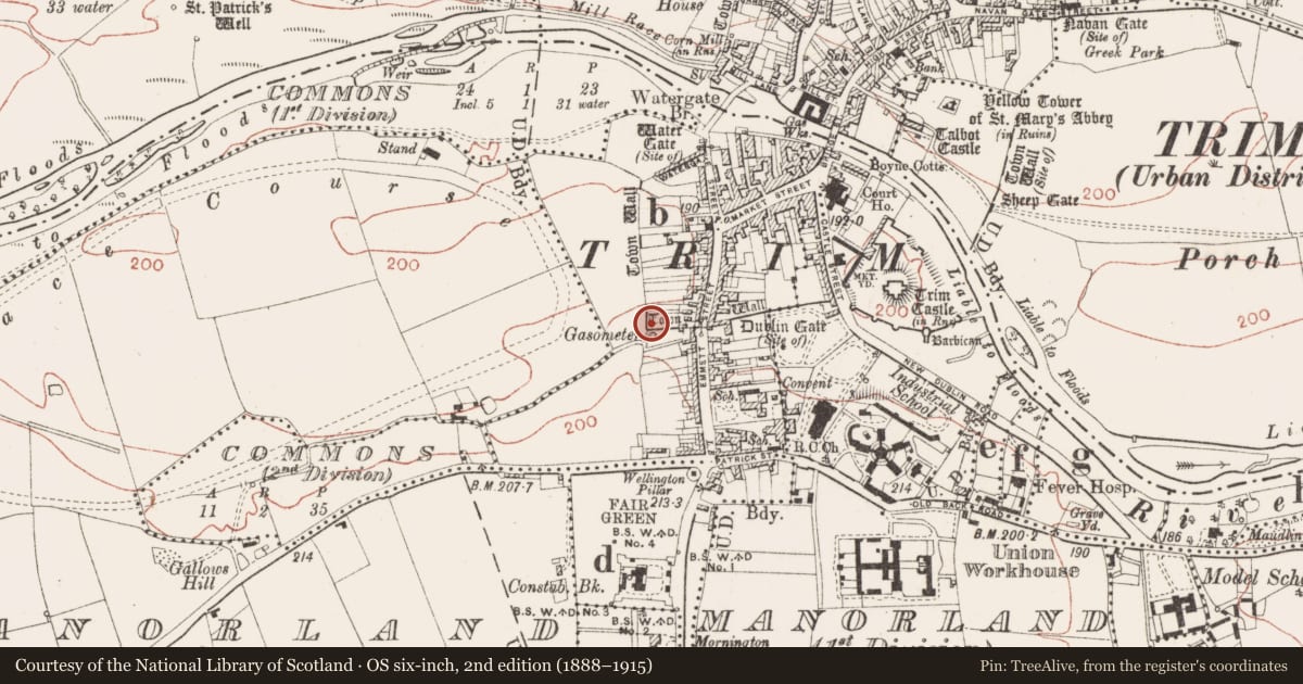 Ordnance Survey six-inch map, 2nd edition (1888–1915) covering the location of Excavation - miscellaneous, Townparks South, County Meath, with a pin at the register's coordinates